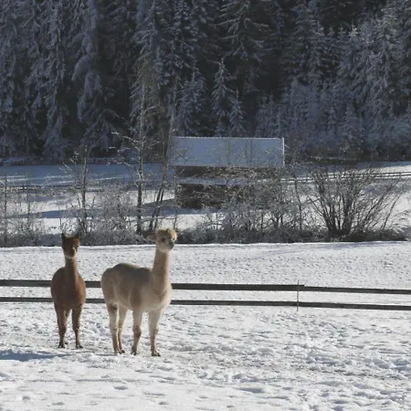 Viersterne Lejlighed