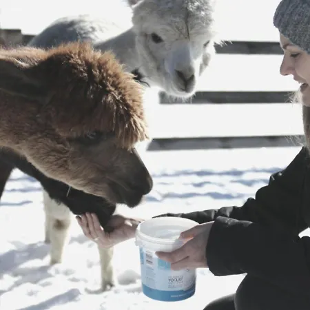 Lejlighed Viersterne