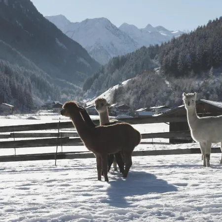 Lejlighed Viersterne *