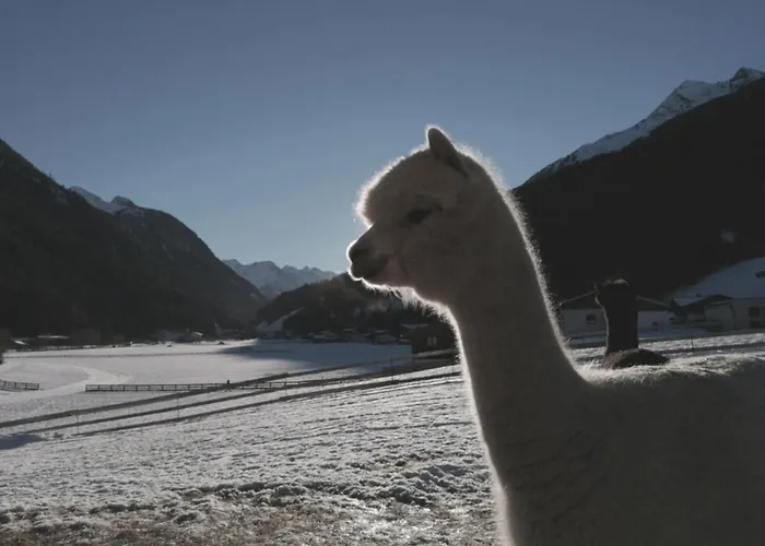 Viersterne Apartamento Neustift im Stubaital