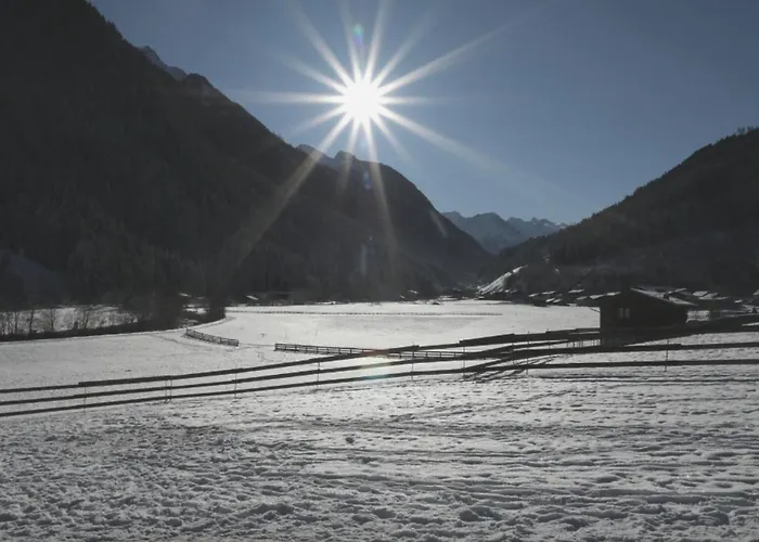 Viersterne Apartamento