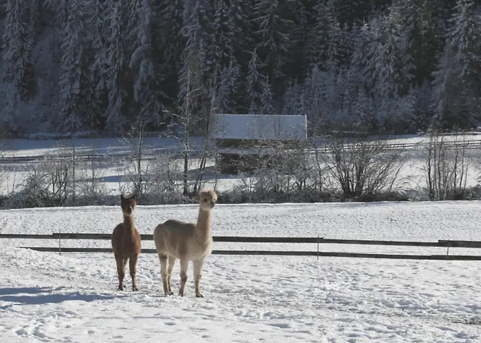 Viersterne Apartamento