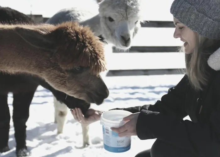 Apartamento Viersterne