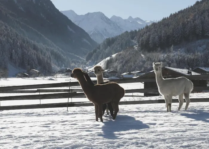 Apartamento Viersterne *